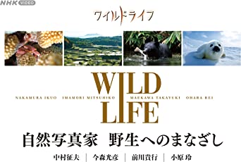 WILD LIFE SHIZEN SHASHIN KA YASEI HE NO MANAZASHI BOX (Blu-ray4)