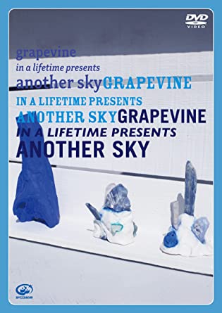 IN A LIFETIME PRESENTS ANOTHER SKY (DVD1,CD1)