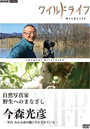 WILD LIFE SHIZEN SHASHIN KA YASEI HE NO MANAZASHI IMAMORI MITSUHIKO (DVD1)