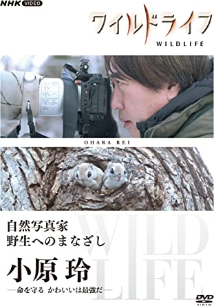 WILD LIFE SHIZEN SHASHIN KA YASEI HE NO MANAZASHI OHARA REI (DVD1)