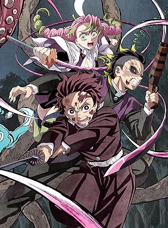 KIMETSU NO YAIBA SWORDSMITH VILLAGE ARC VOLUME 5 limited DVD