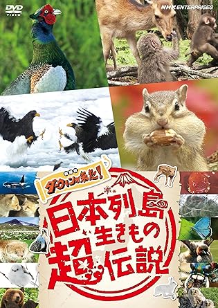 NIHON RETTOU IKIMONO CHOU DENSETSU GEKIJOU BAN DARWIN GA KITA! (DVD1)